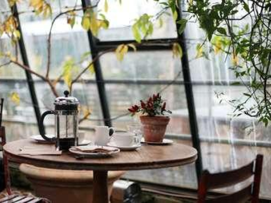 Dose Cafe