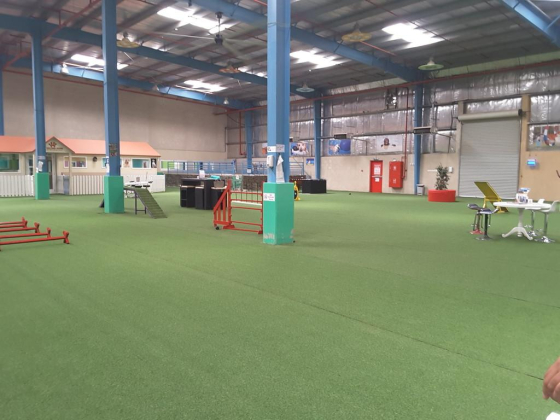 My Second Home Luxury Pet Resort & Spa