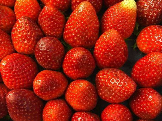 Elite Farms Vegetables & Fruits Vegetables
