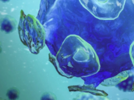 Roche Pharmaceuticals Middle East Fzco