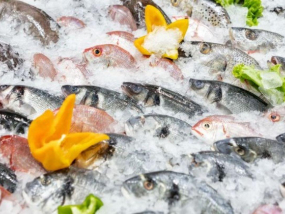 Humaid Shattaf Fish Trading