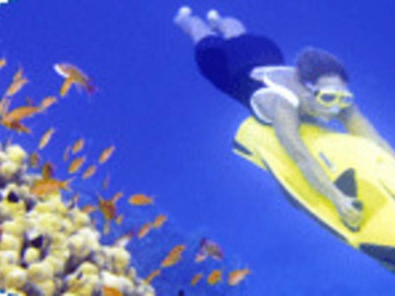 Wave Marine