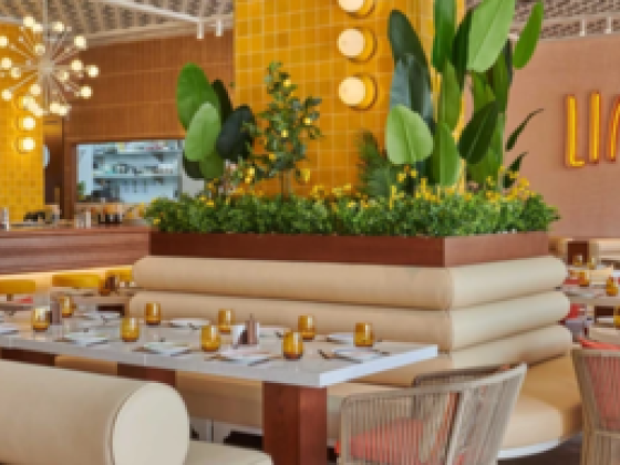 Dif Interior Decoration Company