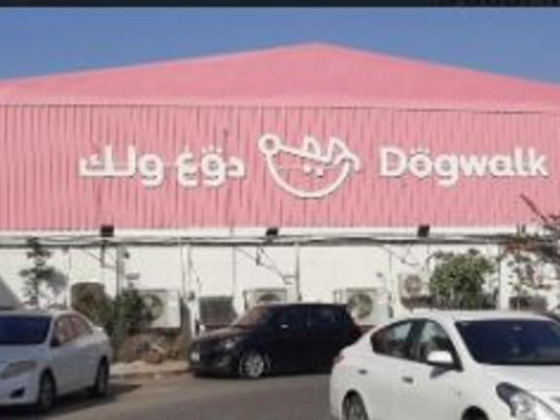 Dogwalk Daycare & Grooming