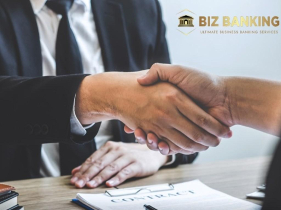 Biz Banking Consultancy