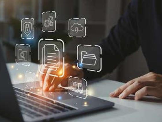Lynx Digital Information Technology