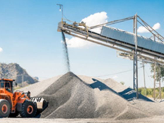 Grand Lion Investment Company