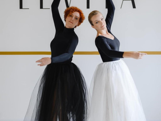Levita ​ballet And Stretching Studio