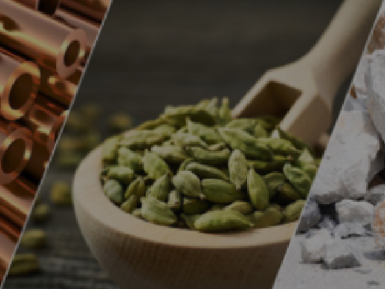 Ista International General Trading