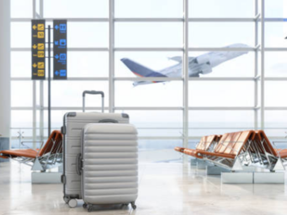 Haira Travel & Tourism