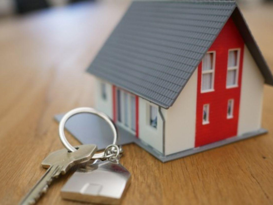 I M J Real Estate Brokers