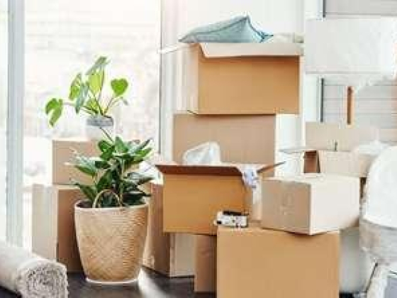 KRK Movers