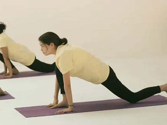 Hatha Vidya Yoga Centre