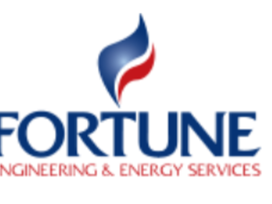 Fortune Engineering & Energy Services