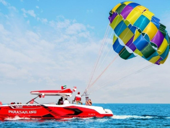 Sea Life Watersports Equipment Rental
