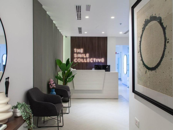 The Smile Collective Clinic L.l.c