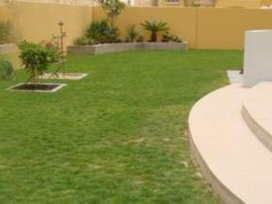 Lucky Landscaping