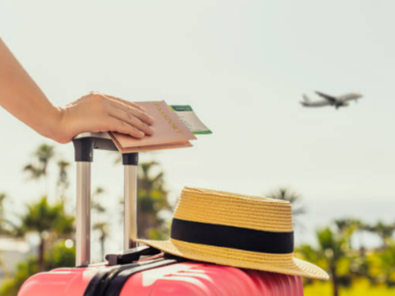 Akn Travel And Tourism