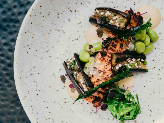 Dish Catering And Events