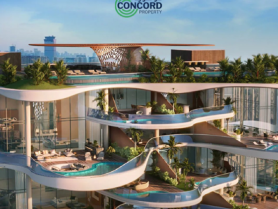 Concord Alliances International Real Estate