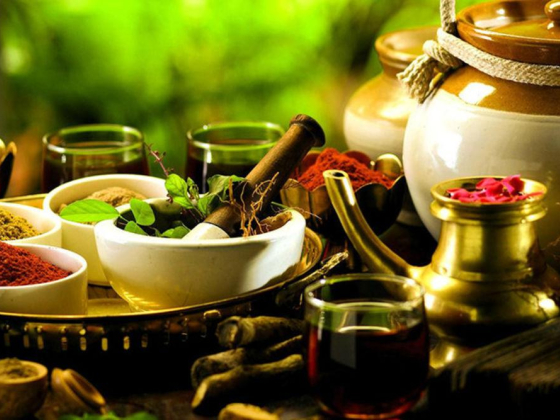 Chandran Gurukkal Ayurvedic Centre
