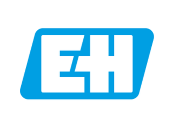 Endress+hauser