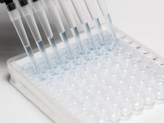 Scientific Analytical Tools Trading