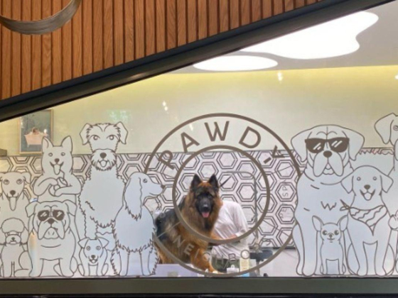 Pawdy Neighbors Cofee Shop