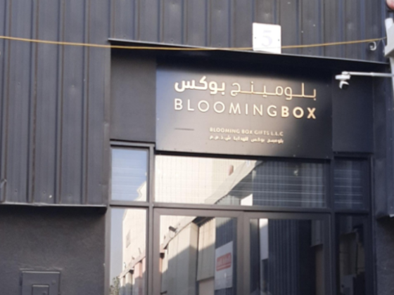 Blooming Box Gifts