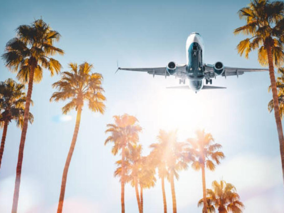 Al Ghazi Travel And Tourism