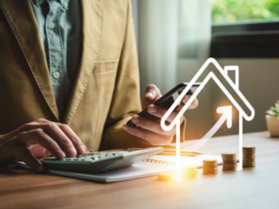 Alpha Oasis Real Estate Broker