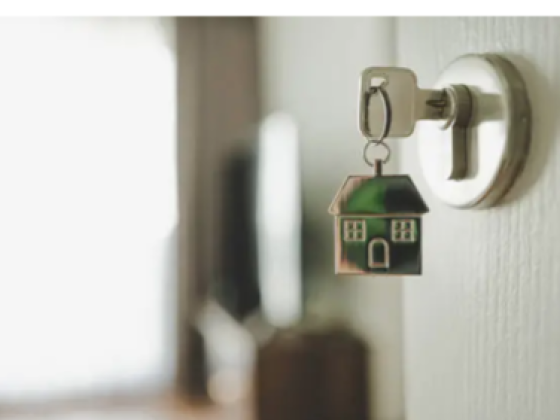 House Hunters Real Estate Brokers