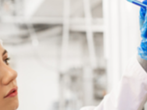Veritas System Quality Services