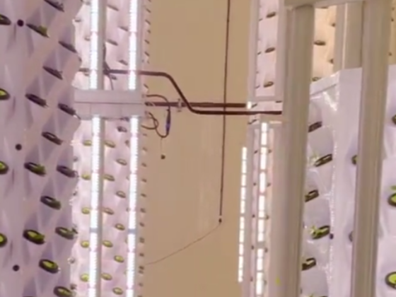 The Food Engineer Farm
