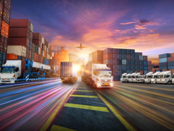 Sea Box Experts Shipping Line