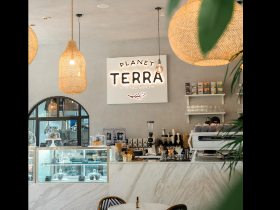 Planet Terra Vegan Cafe