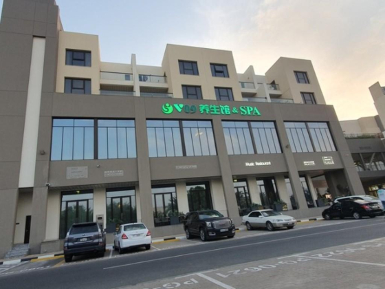 V09 Physiotherapy & Spa Center