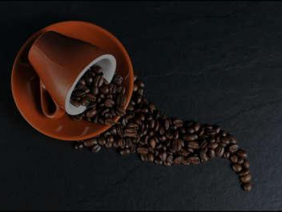 Nova Global Coffee Trading