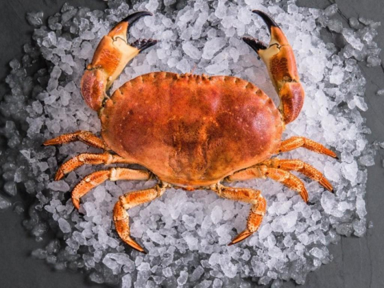 Isla Seafoods