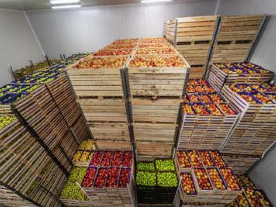 Mushrif Light Foodstuff Trading & Catering