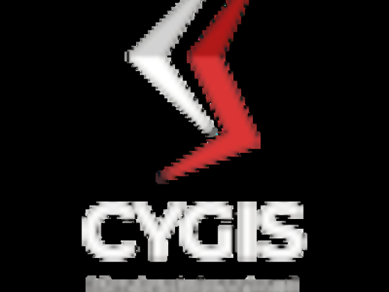 Cygis Information Technology Services