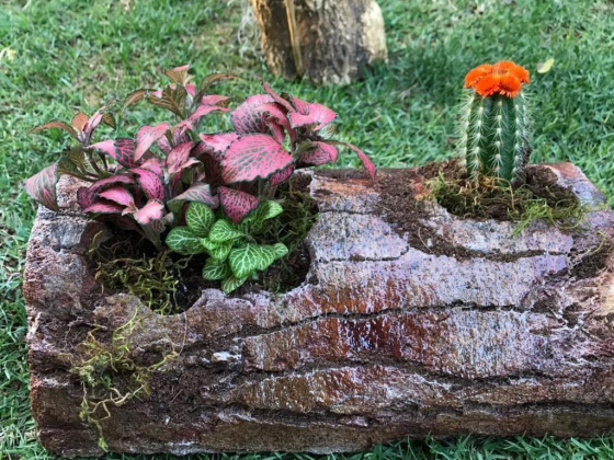 Wooden Art Gifts