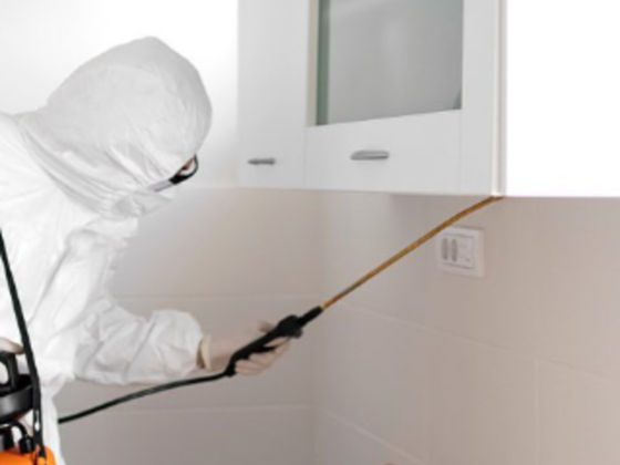 DSC Facilities Services