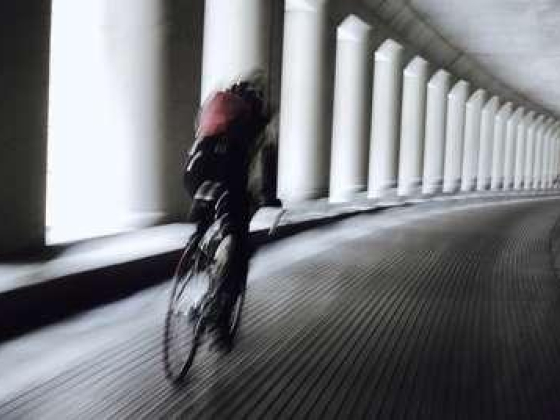 Street Al Qudra Cycling Track 3