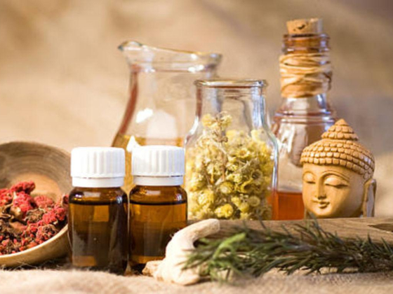 Kottakkal Oushadh Shala Natural Herbs