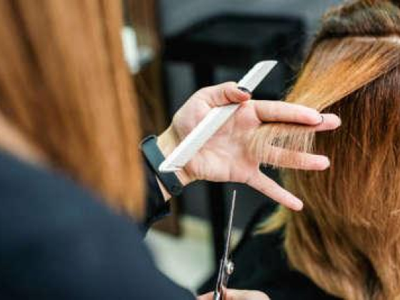 Zang Beauty Ladies Saloon