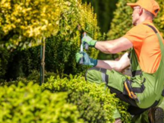 Jezel Flores For Landscape & Gardening Works & Maintenance Co.