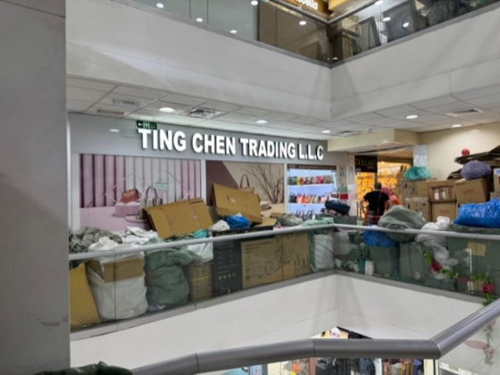 Ting Chen Trading