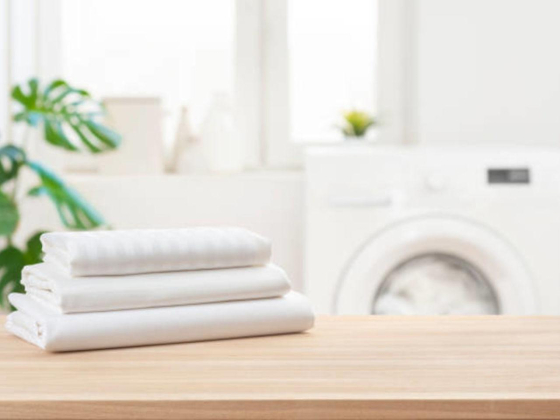 Flower Fresh Laundry