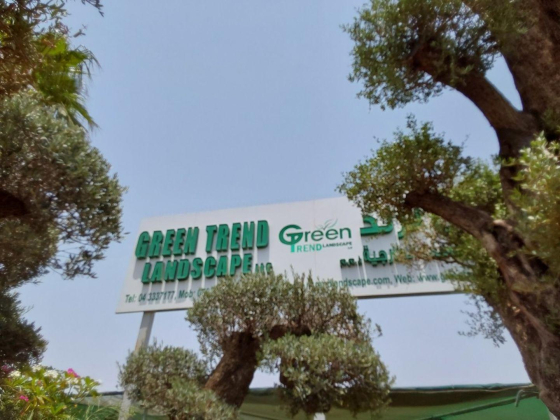 Green Trend Landscape